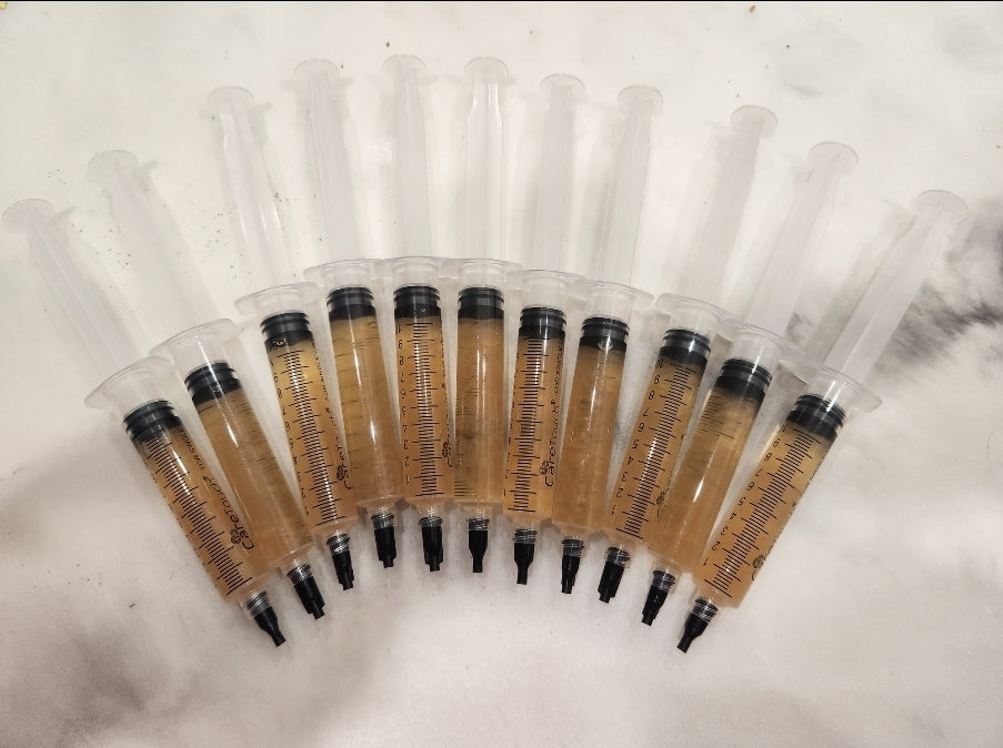 Wine Cap Liquid Culture 10mL