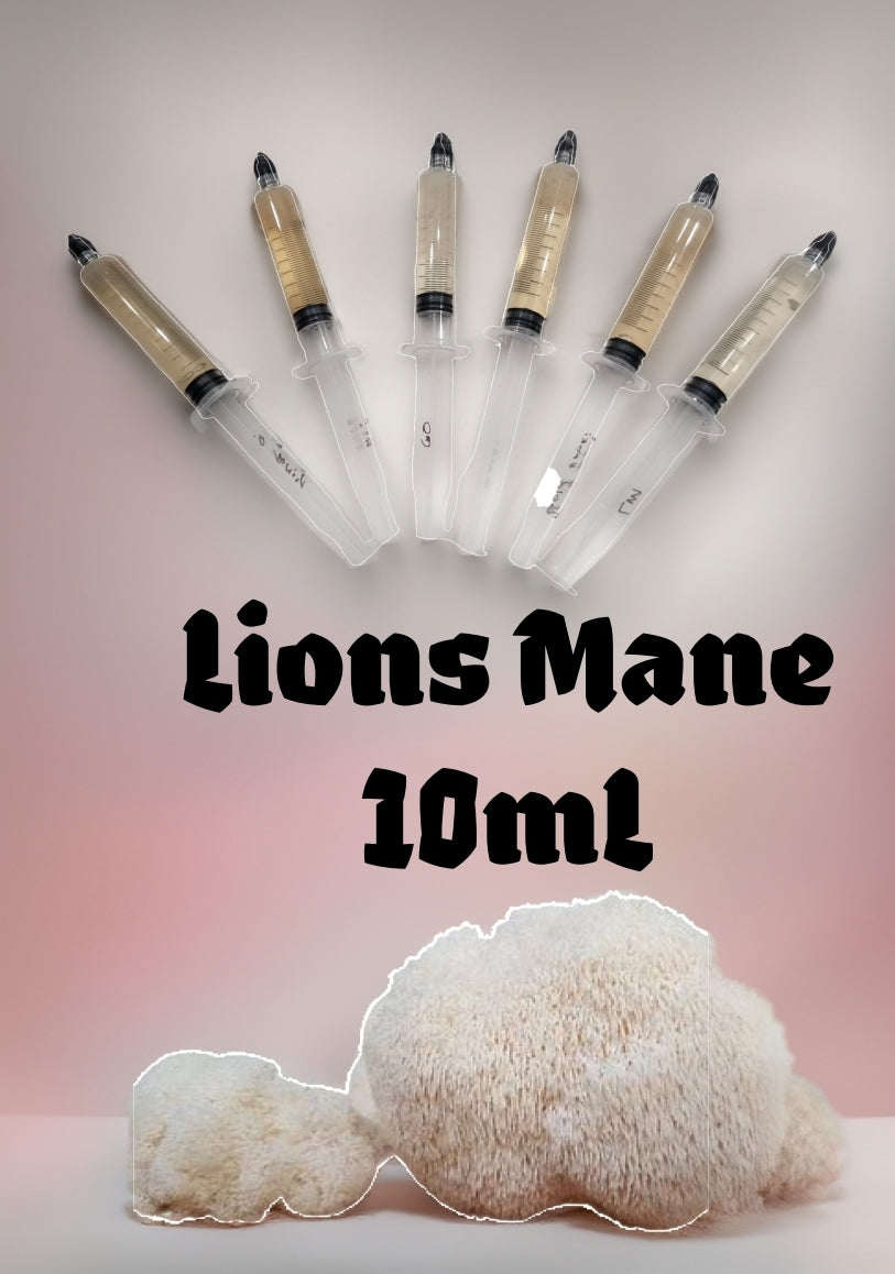 Lions Mane liquid Culture 10mL